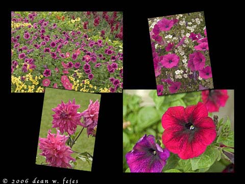 Alaska_Web_003