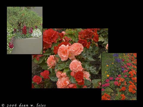 Alaska_Web_004