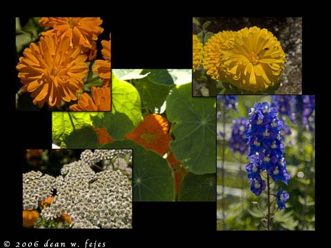 Alaska_Web_007