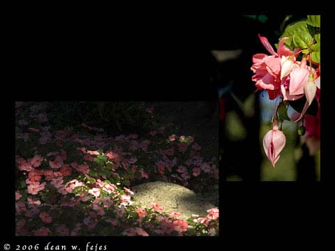 Alaska_Web_008