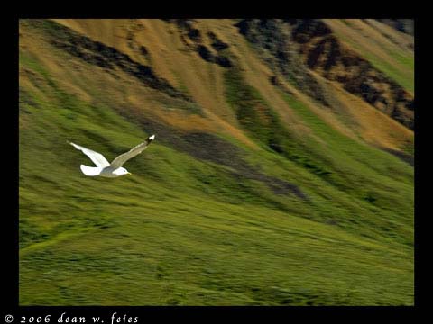 Alaska_Web_036