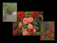 Alaska_Web_004