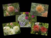 Alaska_Web_005