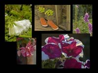 Alaska_Web_006