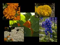 Alaska_Web_007