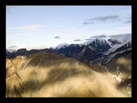 Alaska_Web_018