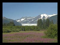 Alaska_Web_053