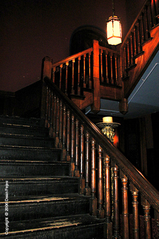 Gallery_33