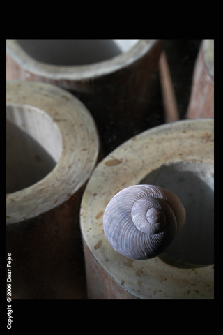 Artistic_21 (1)