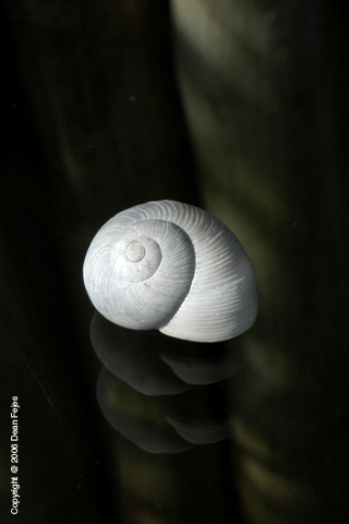 Artistic_22 (1)