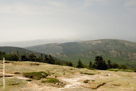 Scenery_22 (1)